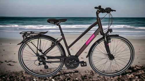 Victoria Trekking 2.7 női trekking kerékpár Mattpadlizsán 46 cm