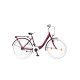 Neuzer Balaton Premium 28 N3 Női Padlizsán-Fehér városi kerékpár 18"